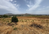 Finca rústica en venta en la España, Cártama, ref: TR287101 foto
