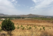 Finca rústica en venta en la España, Cártama, ref: TR287101 foto