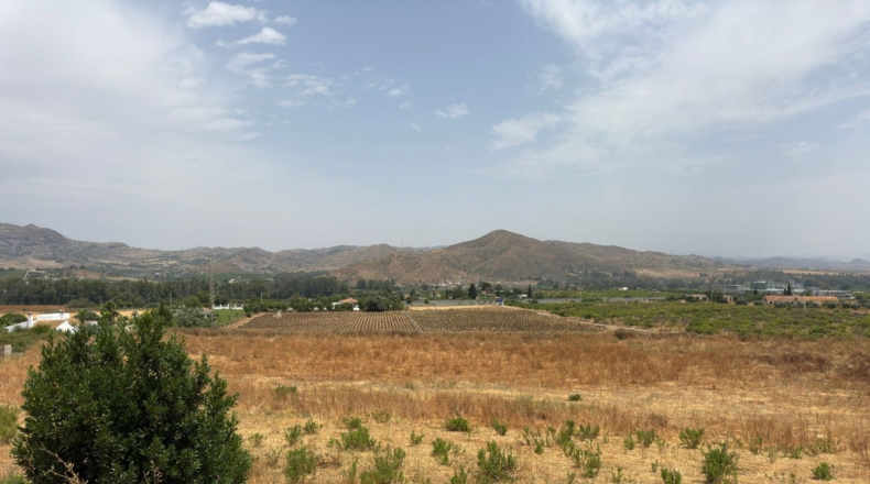 Málaga - Cártama - 81000m2