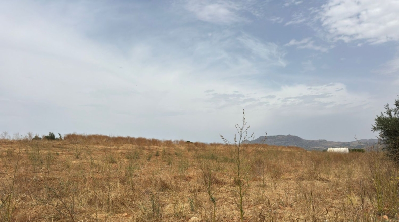 Málaga - Cártama - 81000m2