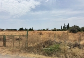 Finca rústica en venta en la España, Cártama, ref: TR287101 foto
