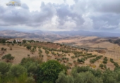 Finca rústica en venda a la España, Antequera, ref.: TR354682 foto