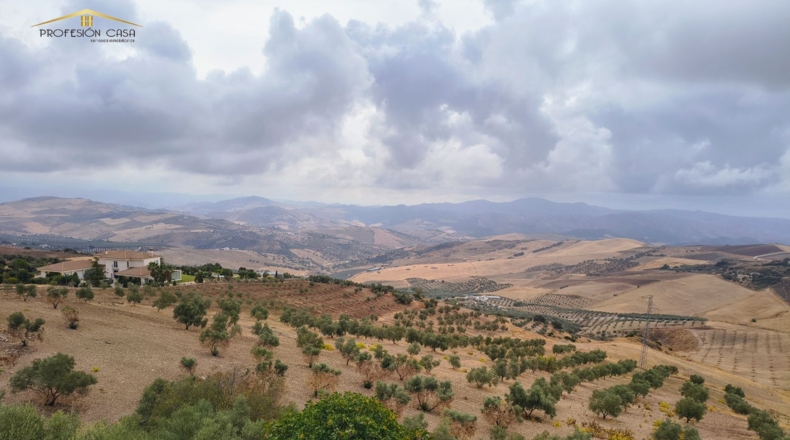 Малага - Antequera - 46000m2
