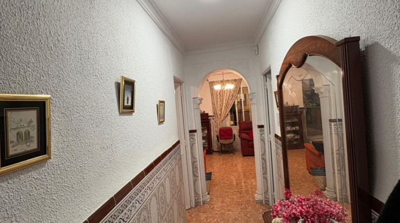 Málaga - Málaga - 300m2