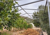 Finca rústica en venda a Antequera ref.: TR367425 foto