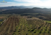Finca rústica en venda a Antequera ref.: TR367436 foto