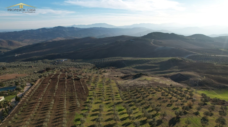 Málaga - Antequera - 24000m2