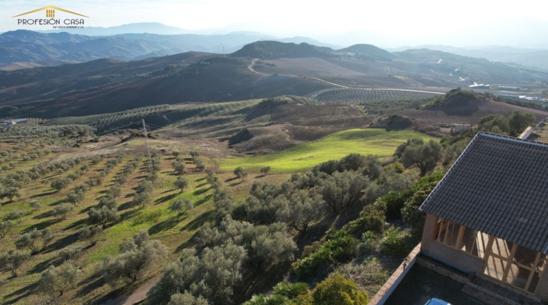 Málaga - Antequera - 24000m2