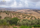 Finca rústica en venda a Antequera ref.: TR367436 foto