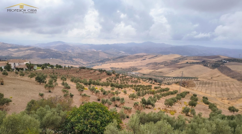 Málaga - Antequera - 24000m2
