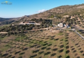 Finca rústica en venda a Antequera ref.: TR367436 foto