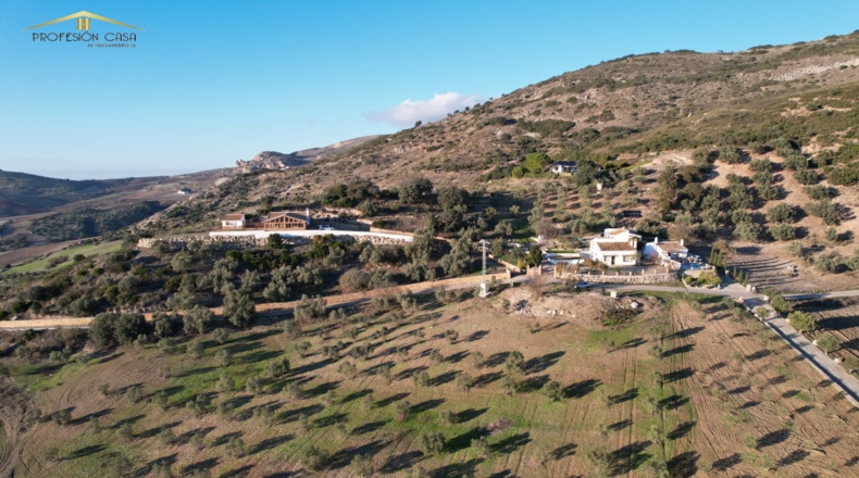 Málaga - Antequera - 24000m2