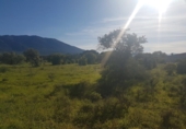 Finca rústica en venda a Alhaurín el Grande ref.: TR29832 foto
