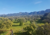 Finca rústica en venda a Alhaurín el Grande ref.: TR29832 foto
