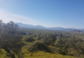 Finca rústica en venda a Alhaurín el Grande ref.: TR29832 foto