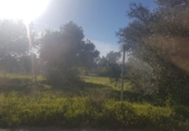 Finca rústica en venda a Alhaurín el Grande ref.: TR29832 foto