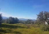 Finca rústica en venda a Alhaurín el Grande ref.: TR29832 foto