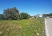 Finca rústica en venda a Alhaurín de la Torre ref.: TR29791 foto