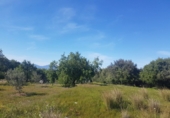 Finca rústica en venda a Alhaurín de la Torre ref.: TR29791 foto