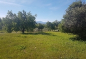 Finca rústica en venda a Alhaurín de la Torre ref.: TR29791 foto