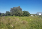 Finca rústica en venda a Alhaurín de la Torre ref.: TR29791 foto