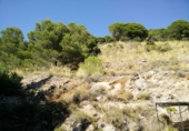 Finca rústica en venda a Mijas ref.: TR29789 foto