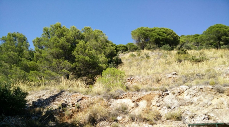Málaga - Mijas - 12000m2