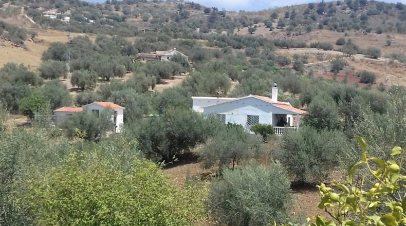 Málaga - Comares - 5900m2