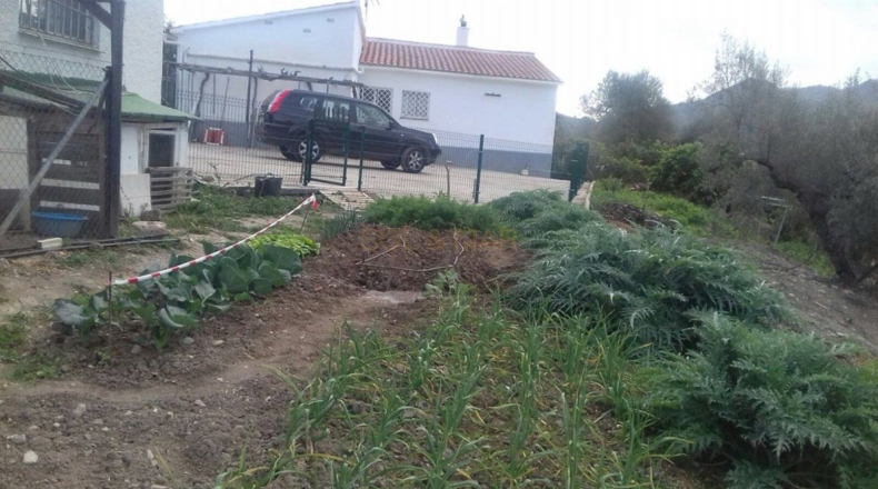 Málaga - Comares - 5900m2