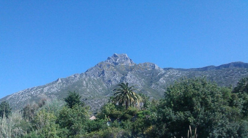 Málaga - Marbella - 5800m2