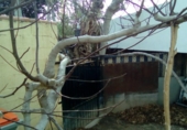 Finca rústica en venda a Arroyo de la Miel-Benalmádena Costa ref.: TR22879 foto