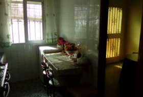 Foto 19