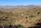 Terreno no urbanizable en venta en Álora ref: TR109856 foto