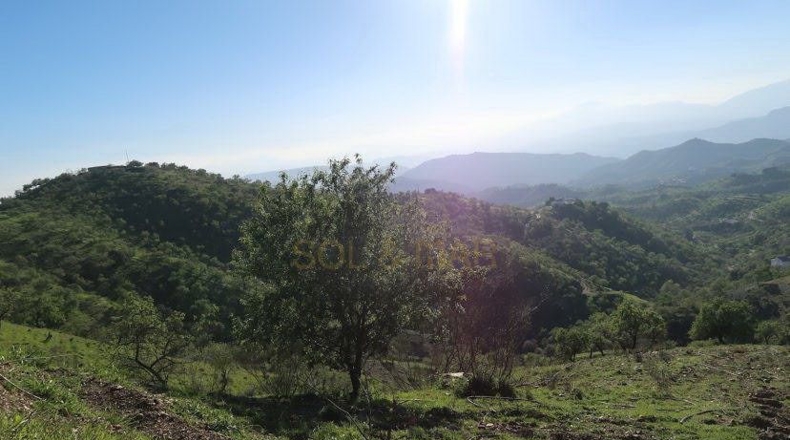 Malaga - Teba - 70000m2