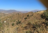 Terreno no urbanizable en venta en Álora ref: TR109856 foto