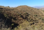 Terreno no urbanizable en venta en Álora ref: TR109856 foto