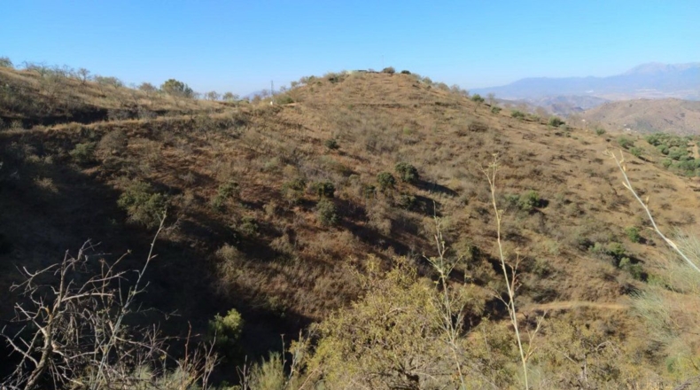 Malaga - Teba - 70000m2