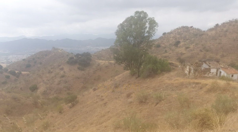 Málaga - Alhaurín de la Torre - 34319m2