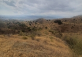 Finca rústica en venda a Cártama ref.: TR22877 foto