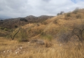 Finca rústica en venda a Cártama ref.: TR22877 foto