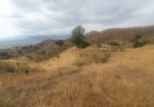 Finca rústica en venda a Cártama ref.: TR22877 foto