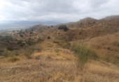Finca rústica en venda a Cártama ref.: TR22877 foto