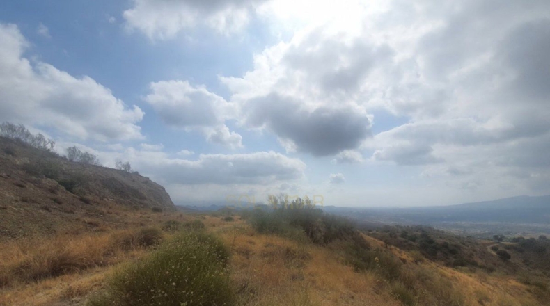 Málaga - Alhaurín de la Torre - 34319m2