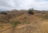Finca rústica en venda a Cártama ref.: TR22877 foto