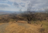 Finca rústica en venda a Cártama ref.: TR22877 foto