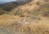Finca rústica en venda a Cártama ref.: TR22877 foto
