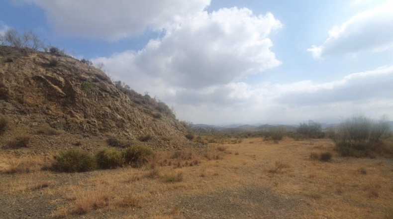 Málaga - Alhaurín de la Torre - 34319m2