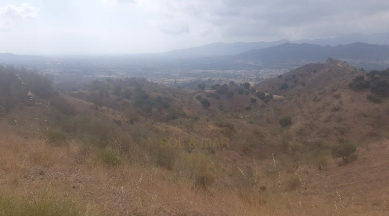Málaga - Alhaurín de la Torre - 34319m2