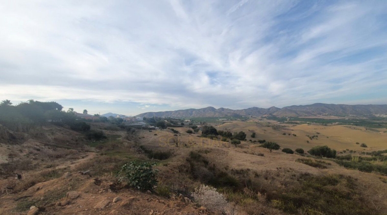Málaga - Alhaurín de la Torre - 11282m2