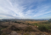 Terreno no urbanizable en venta en Alhaurín de la Torre ref: TR54034 foto